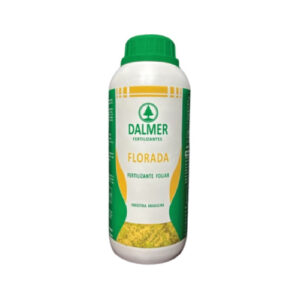 DALMER FLORADA