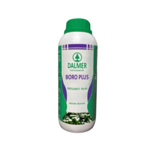 DALMER BORO PLUS