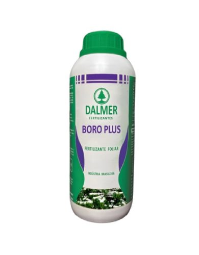 boroplus