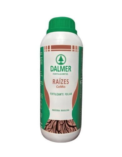 raizes-como